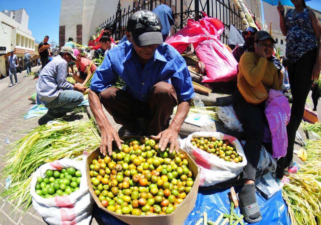 En Tegucigalpa, la capital de Honduras, la mayor concentración de campesinos con los ramos, que son elaborados por ellos mismos en las afueras de los templos, se registra en el atrio de la catedral metropolitana.