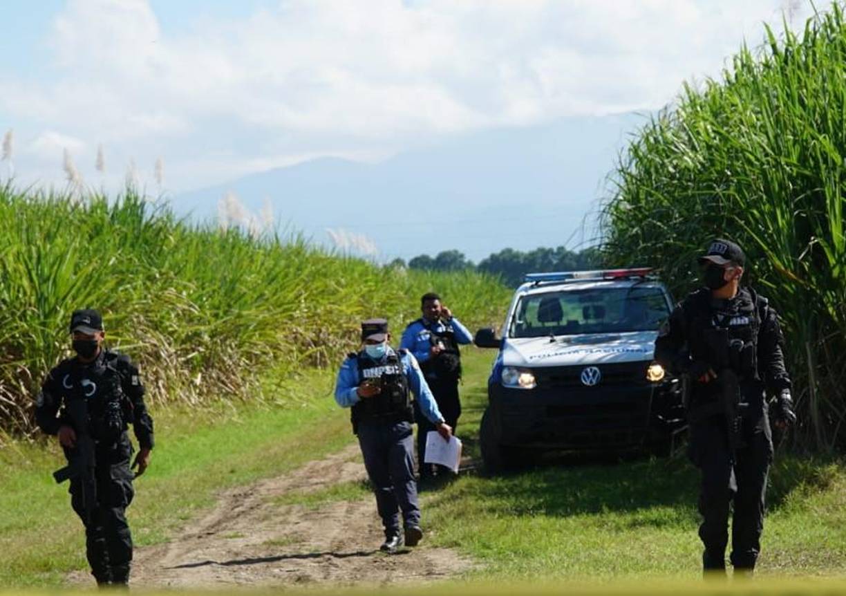 En la misma fecha, en San Manuel se contabilizan 11 muertes violentas. 