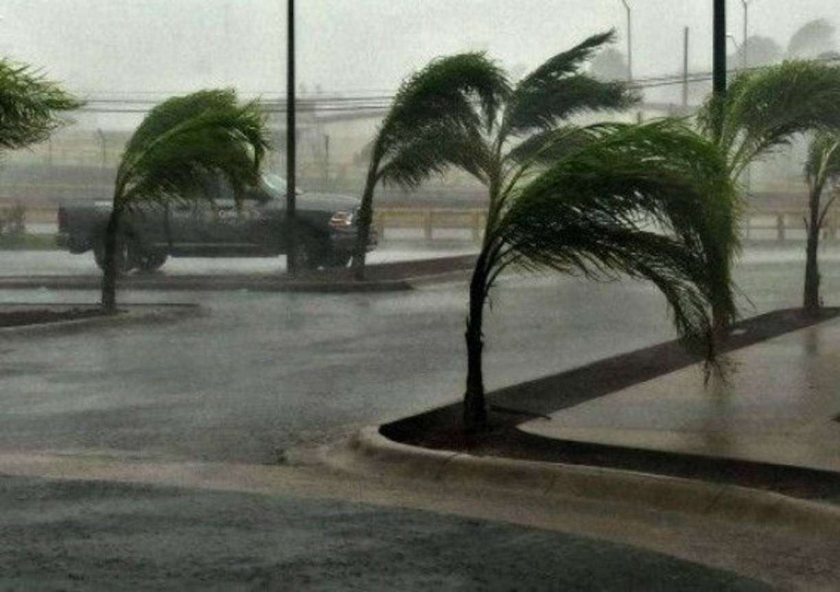 Las calles lucían con algunos charcos pero libres de obstáculos para el transporte público, que reanudó su servicio a medida que el puerto dejaba atrás su semblante casi desierto del viernes.