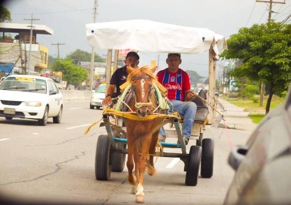 “El orden trae bendición”, destacó el jefe municipal. 