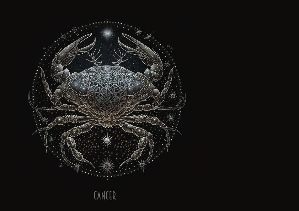 Cáncer: La Carta del carruaje nos dice que este será un año implacable. Tendrás la oportunidad de desarrollarte en asuntos amorosos. Sólo necesitas concentrarte bien, no distraerte con las personas tóxicas que te rodean. Este año lograrás algo importante. Viajarás mucho y podrás iniciar tu propio negocio. Tendrás la estabilidad financiera para hacer todo lo que necesites. Sigue avanzando, crece y empieza a buscar nuevas personas en tu vida. Necesitas concentrarte en ti mismo.<b>Número de la suerte: </b>8 y 15<b>Colores:</b> Rojo y amarillo<b>Mejores meses:</b> Enero, mayo, junio y noviembre