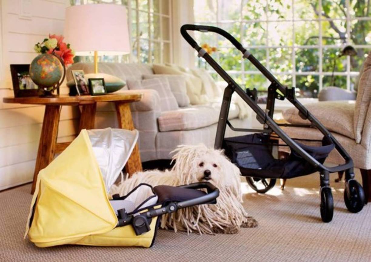 Uu valor actual asciende a 45.000 millones de dólares y el dinero se canalizará a través de una fundación con el nombre de Chan, cuya finalidad será “avanzar en el potencial humano y promover la igualdad del ser humano”.