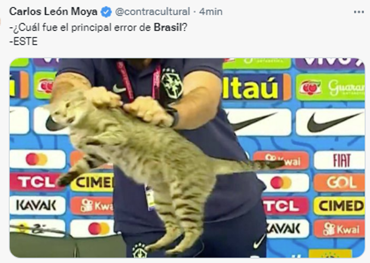 El gato se hizo protagonista luego de que en conferencia de prensa, una persona parte del cuerpo técnico sacó al animal, lo que para muchos es de mala suerte.