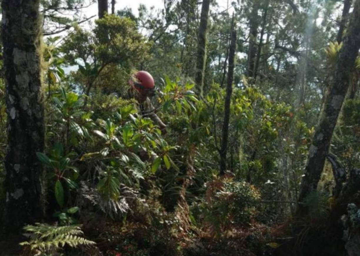 El guía y el turista fueron ubicados arriba de la cascada Santa Lucía arriba del campamento Los Naranjos, los rescatistas mencionan que las dos personas se alejaron de los senderos señalizados.