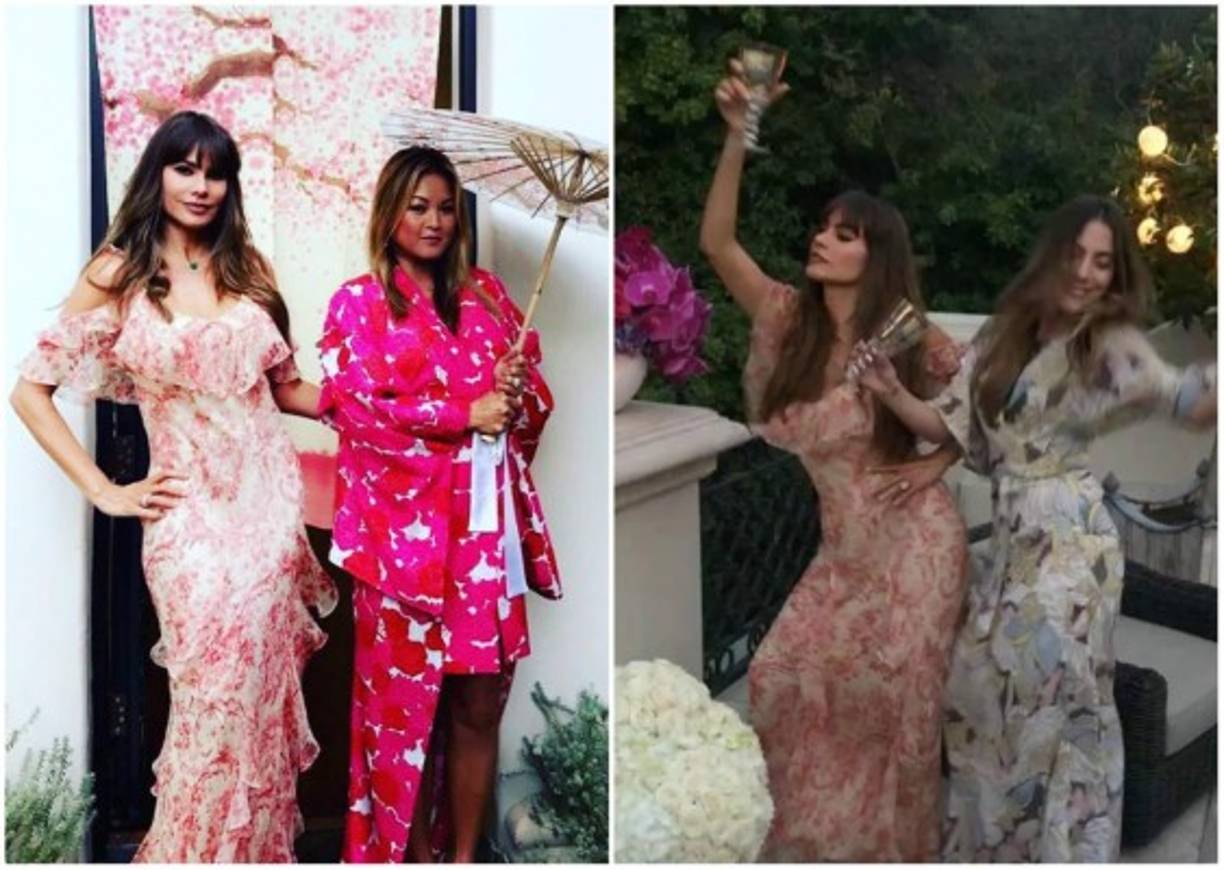 Actualmente sigue en una batalla legal con su exprometido Nick Loeb, quien ha fastidiado a Sofía por los embriones que ambos congelaron cuando estaban juntos para convertirse en padres en el futuro. El empresario está empeñado en implantar los embriones en un viente de alquiler y convertirse en padre, pero Sofía se niega.