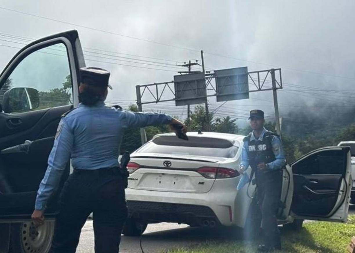 Uno de los cuerpos estaba en el asiento trasero del automotor. 