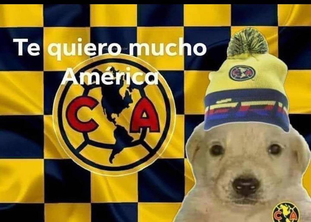 América tricampeón y los memes no perdonan a Monterrey tras perder el título de Liga MX