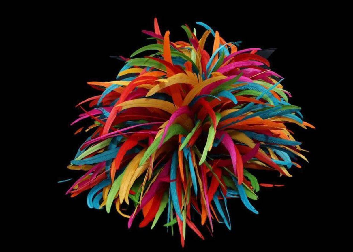 El negro es luto y el azul recuerda a la deidad Yemaya, diosa de mares y aguas. El rojo es el color de la deidad Chango, dios de guerra y paz; y finalmente el blanco es el color de la circulación de las almas sabias. Por otro lado, el penacho consta de 600 hermosas plumas de gallo.