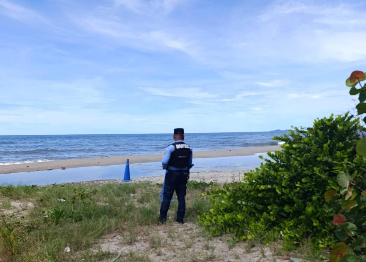 El hallazgo se dio en la playa de la aldea Cuyamel de La Ceiba.