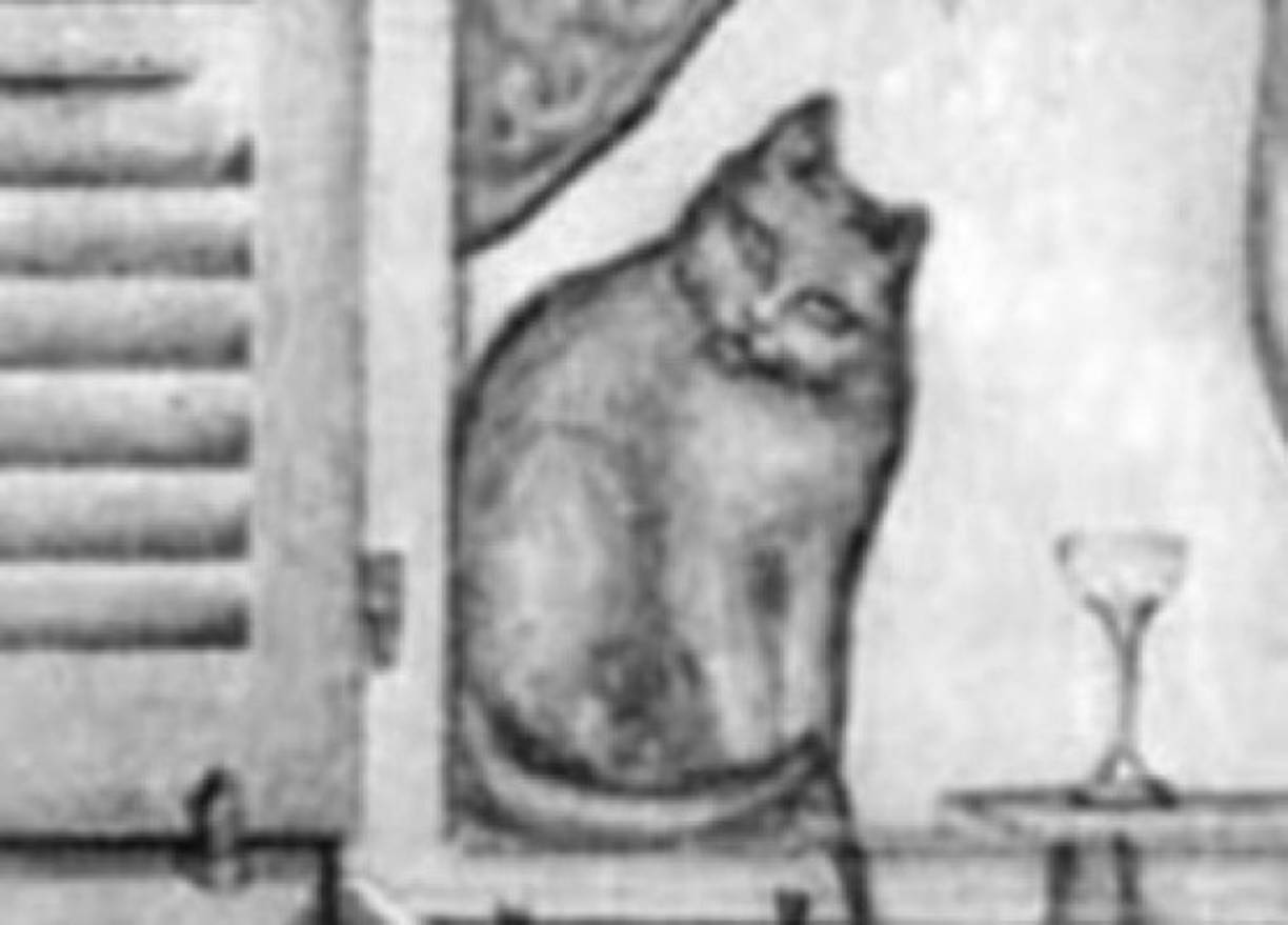 Si viste un gato<br/><br/>Eres un 1 o 2 en la escala de Kinsey. Esto significa que estás predominantemente atraído por tus opuestos (es decir que si eres hombre, te gustan las mujeres; y si eres mujer, te gustan los hombres), pero han habido 'incidentes' o episodios en los que te ataca la idea de un encuentro diferente.<br/><br/>