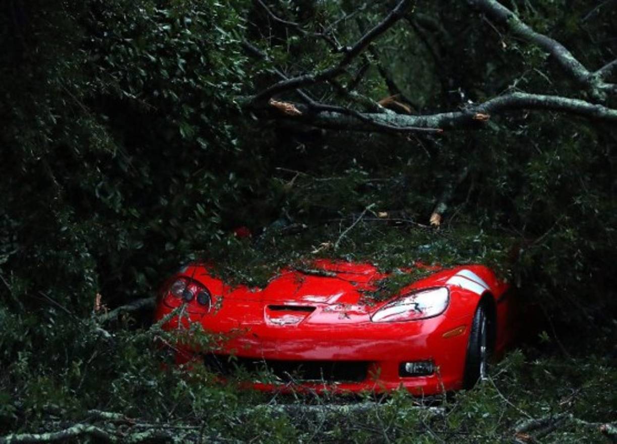 Muchos caminos permanecen cortados por árboles y postes de la luz arrancados y por el agua acumulada.
