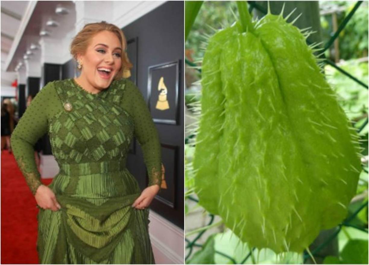 Algunos se burlaron del vestido de Adele y lo compararon con una fruta.