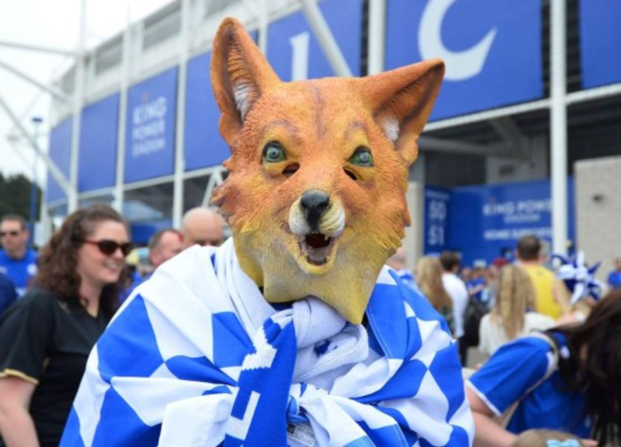 Este fan optó por disfrazarse de zorro, en honor a su equipo.