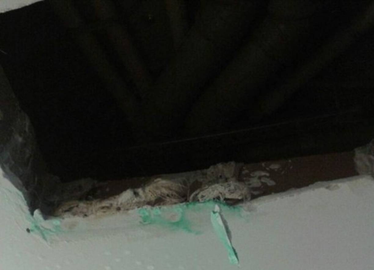 Además de Australia, Argentina no encontró apartamentos aptos, dijo el presidente del Comité Olímpico de ese país, Gerardo Werthein. 'Los departamentos de la Villa, están terminados por afuera y cuando se empezaron a probar evidenciaron algunos problemas que tienen que ver básicamente con plomería, electricidad y el final de obra. En el edificio argentino, tenemos cinco pisos de los cuales dos necesitan terminarse', dijo en una rueda de prensa.