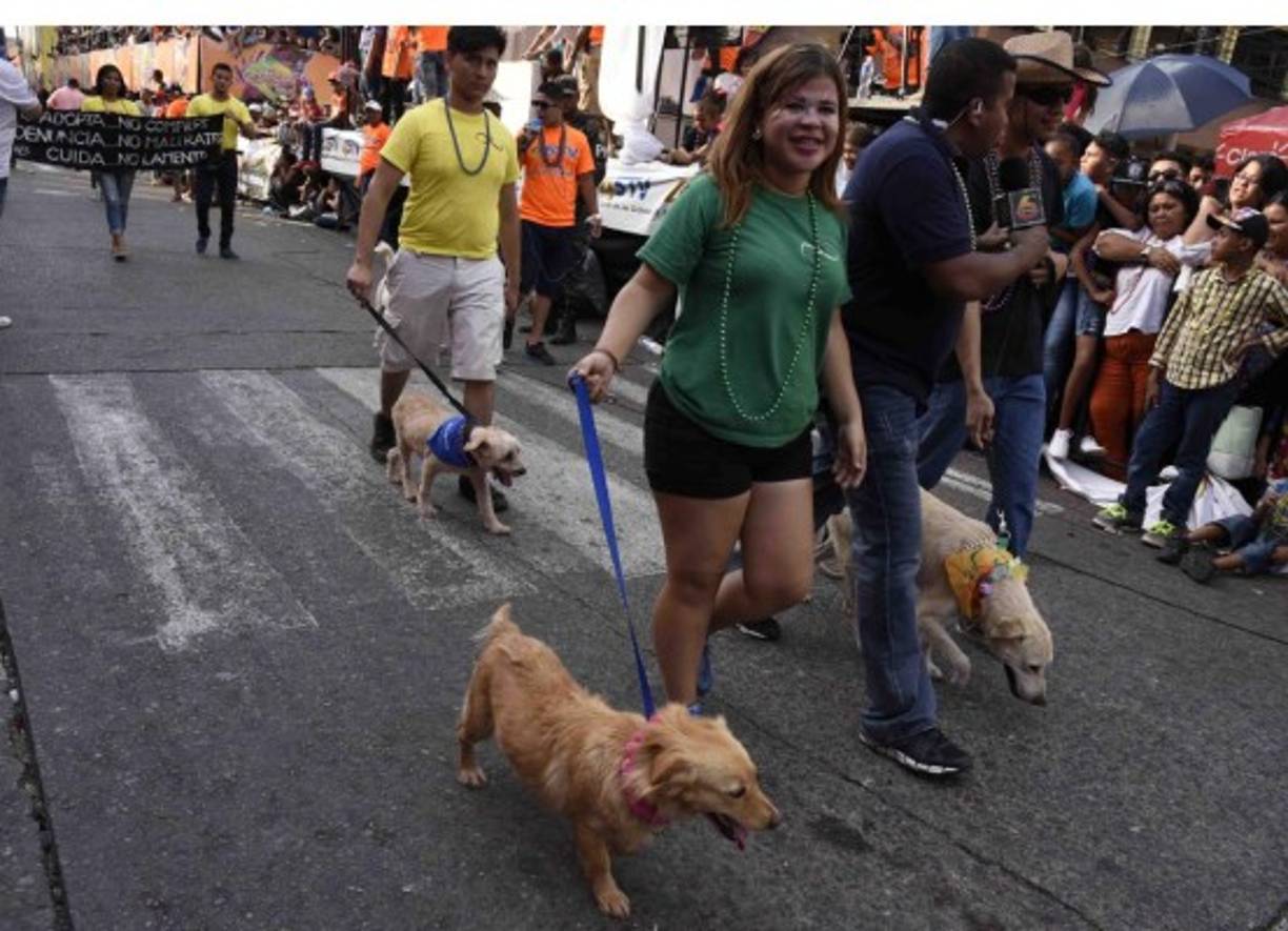 Hasta los perritos 'se dieron su vuelta' por el Carnaval.
