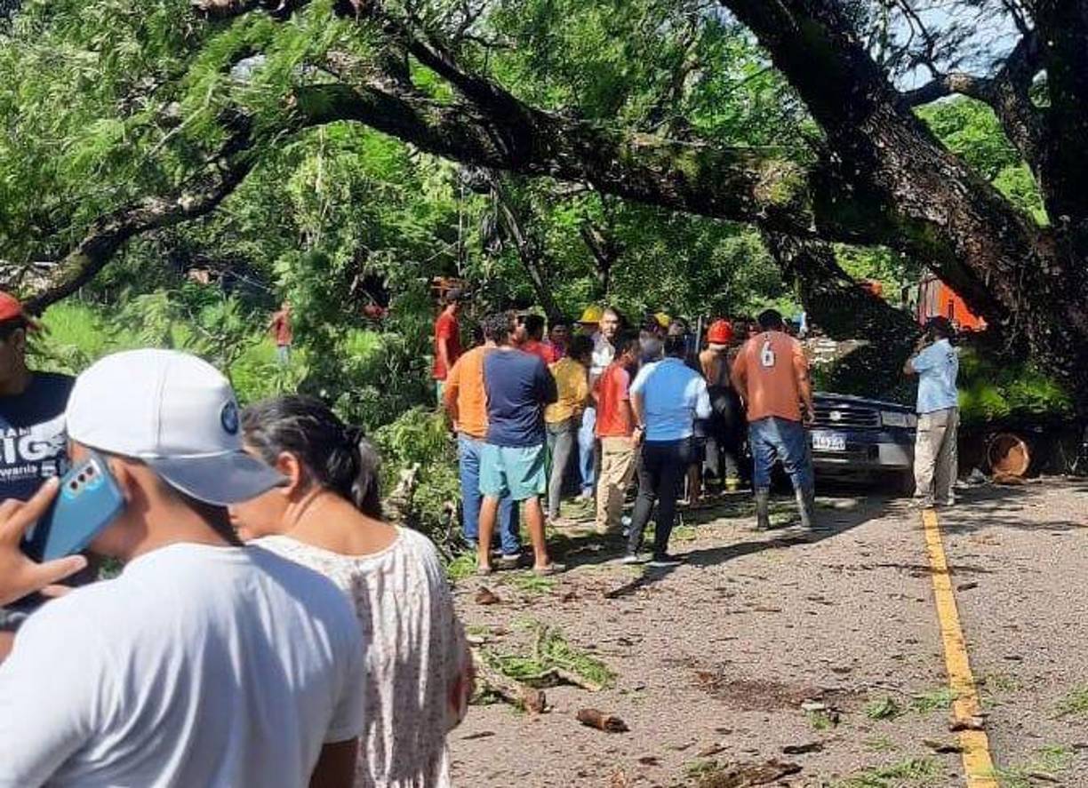 Se conoció que iban a despedirse de unos familiares en El Corpus, ya que en dos días volverían hacia Estados Unidos, donde madre e hija residían.