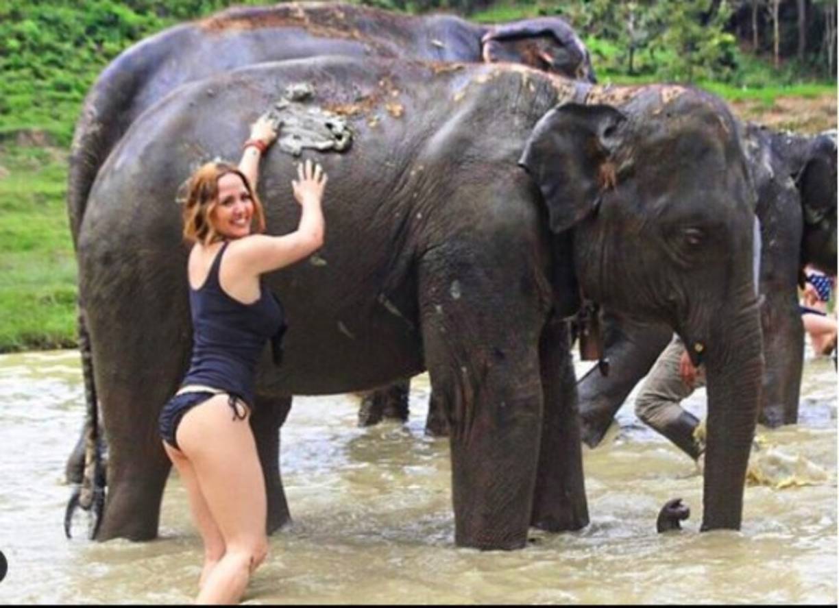 Andrea y Erik se conocieron a principios del año 2000 y tras pocos meses de noviazgo se comprometieron y se casaron el 1 de abril del mismo año.<br/><br/><br/>