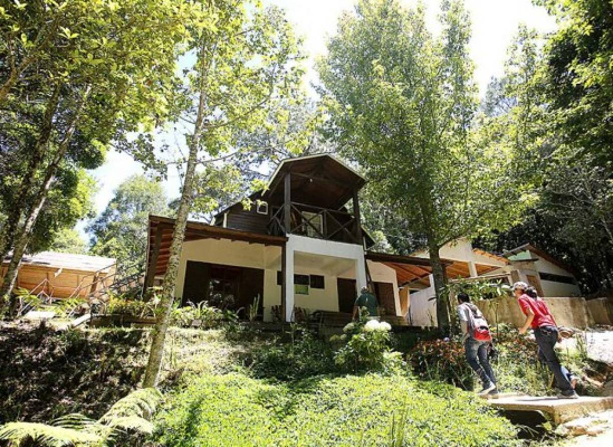 A group of tourists poses during a tour on the Sarapiqui on a farm where plantations compensate the carbon footprint of its visitors, in Heredia, Sarapiqui, Costa Rica, on October 28, 2020. - Costa Rica reported that tourists will be able to offset the carbon footprint generated by their flights and land travel with the aim of supporting the green economy the country promotes internationally. The initiative includes tree planting, protection of hydrographic basins, natural regeneration, and implementation of agroforestry systems on farms. (Photo by Ezequiel BECERRA / AFP)