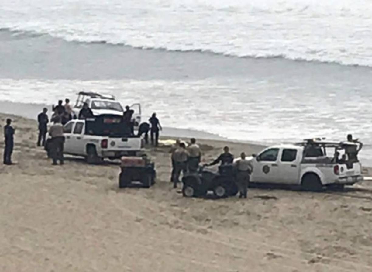 Testigos del ataque llamaron a las autoridades locales que enviaron los equipos de emergencia a la playa, donde Kelly fue declarado muerto por una lesión mortal en la pierna, según medios locales.