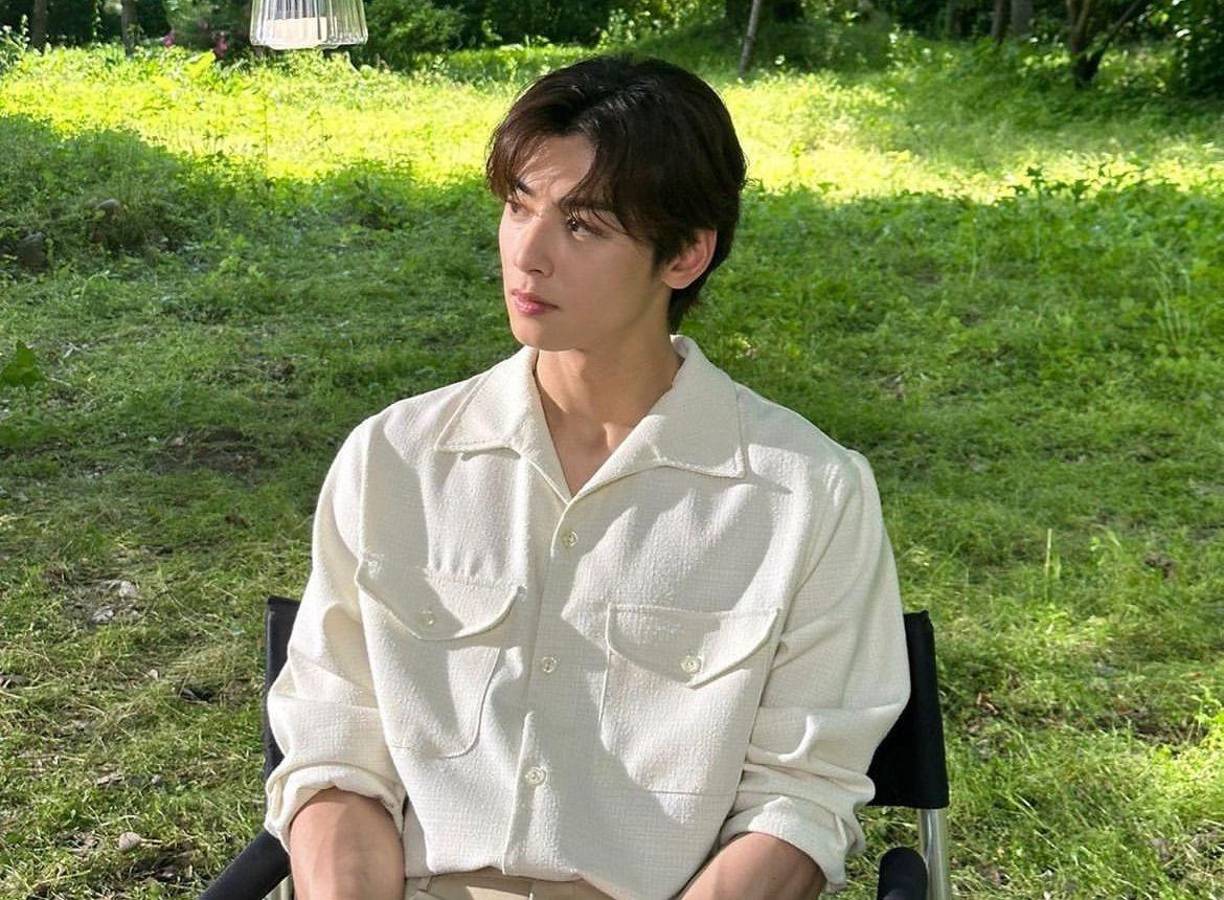 Cha Eun-woo es considerado unos de los actores surcoreanos más guapos. Ha destacado en diversos kdramas y el más reciente de ellos es “Belleza Verdadera”.