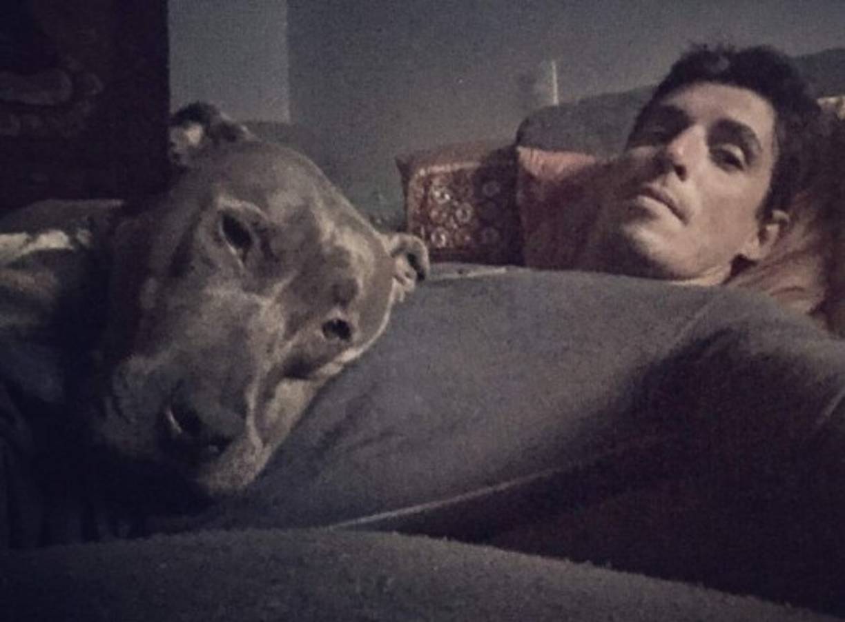 Actuó en películas como La última y nos vamos y en El quinto mandamiento. Adenpas trabajó en teatro y también es modelo.