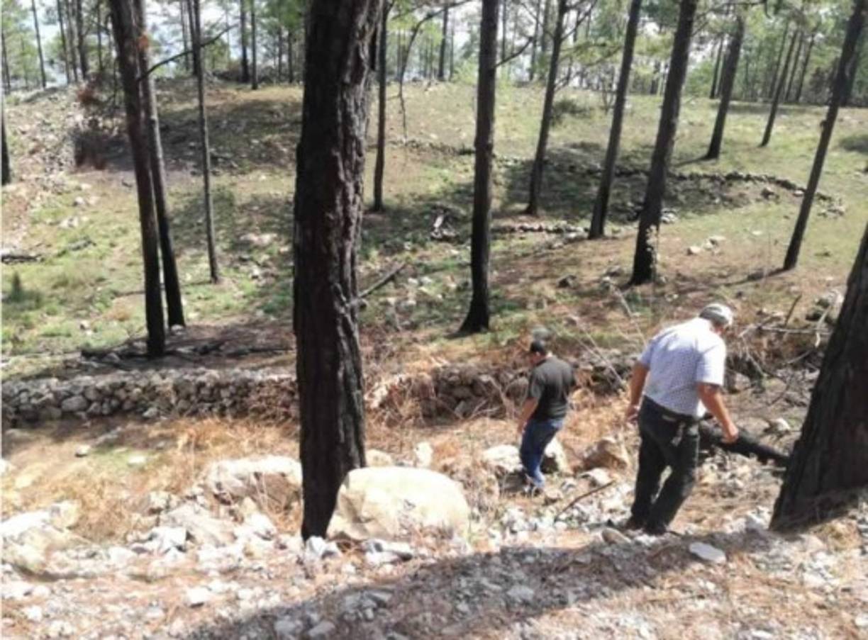 'Operación Hormiga IV' y la Fiscalía del Ambiente realizando inspección por corte ilegal de producto forestal en San Antonio de Flores, El Paraíso.<br/>