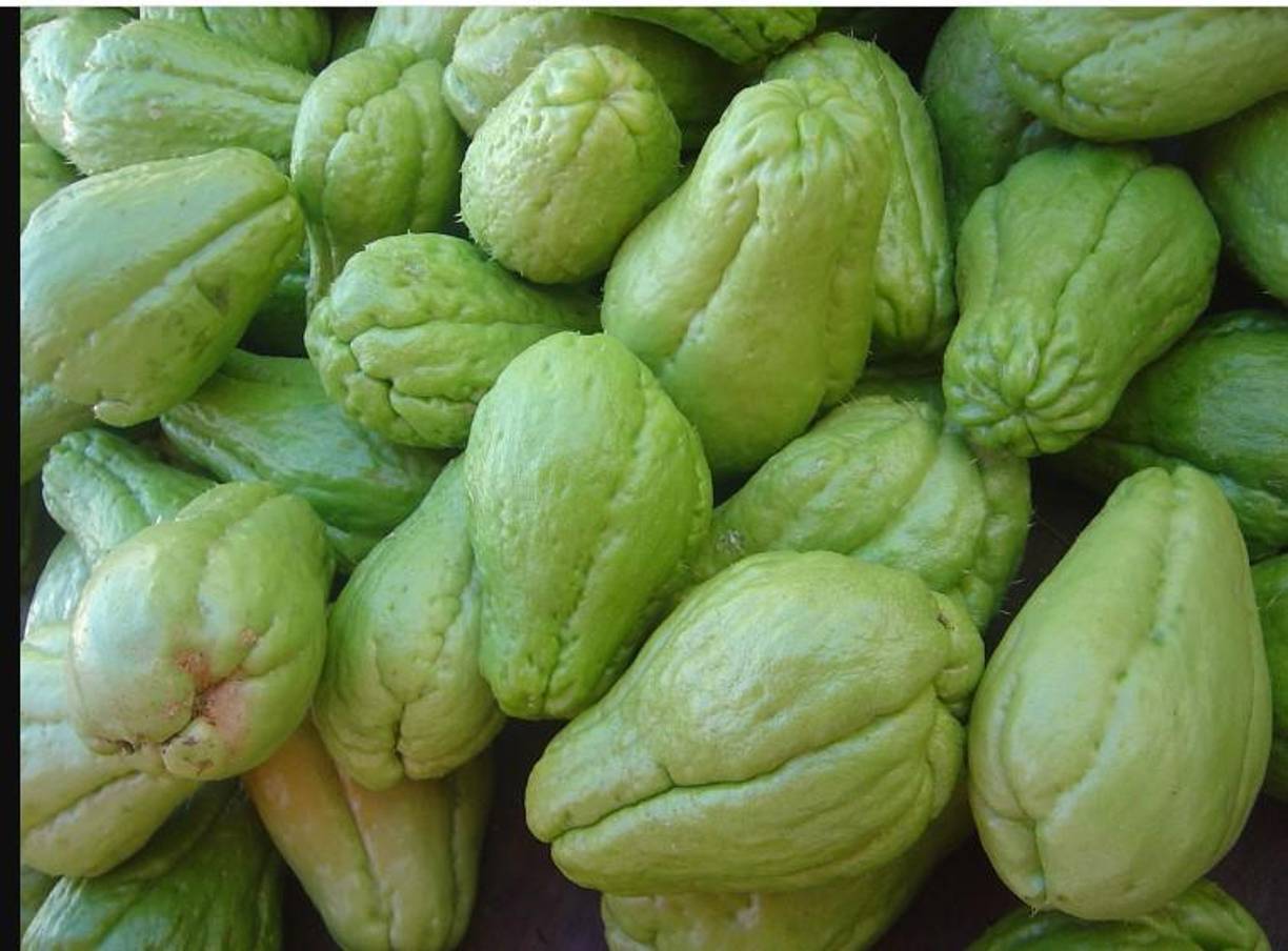 El pataste en México se conoce como Chayote.