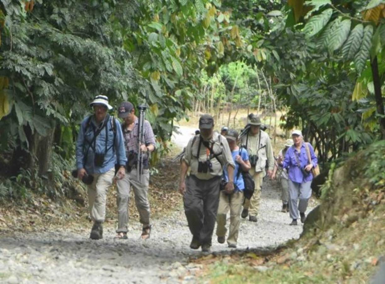 Debido a que el hotel ya tiene reservaciones hasta el 30 de abril, es por eso que será cerrado hasta esa fecha.  En este complejo turístico donde la naturaleza viva es su mayor atractivo, ha sido uno de los referentes de turismo verde en el departamento de Atlántida.<br/>