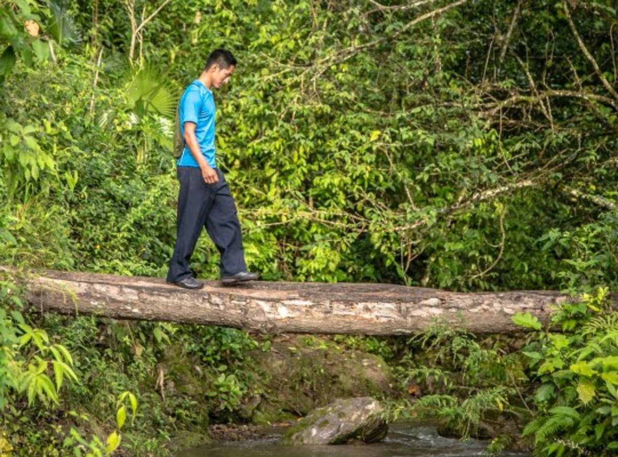 Haciendo equilibrio, Aurelio cruza la segunda quebrada del camino que recorre cada día durante tres horas para llegar al caserío de Hierba Buena, en San Juan, donde lo esperan sus 14 pequeños.