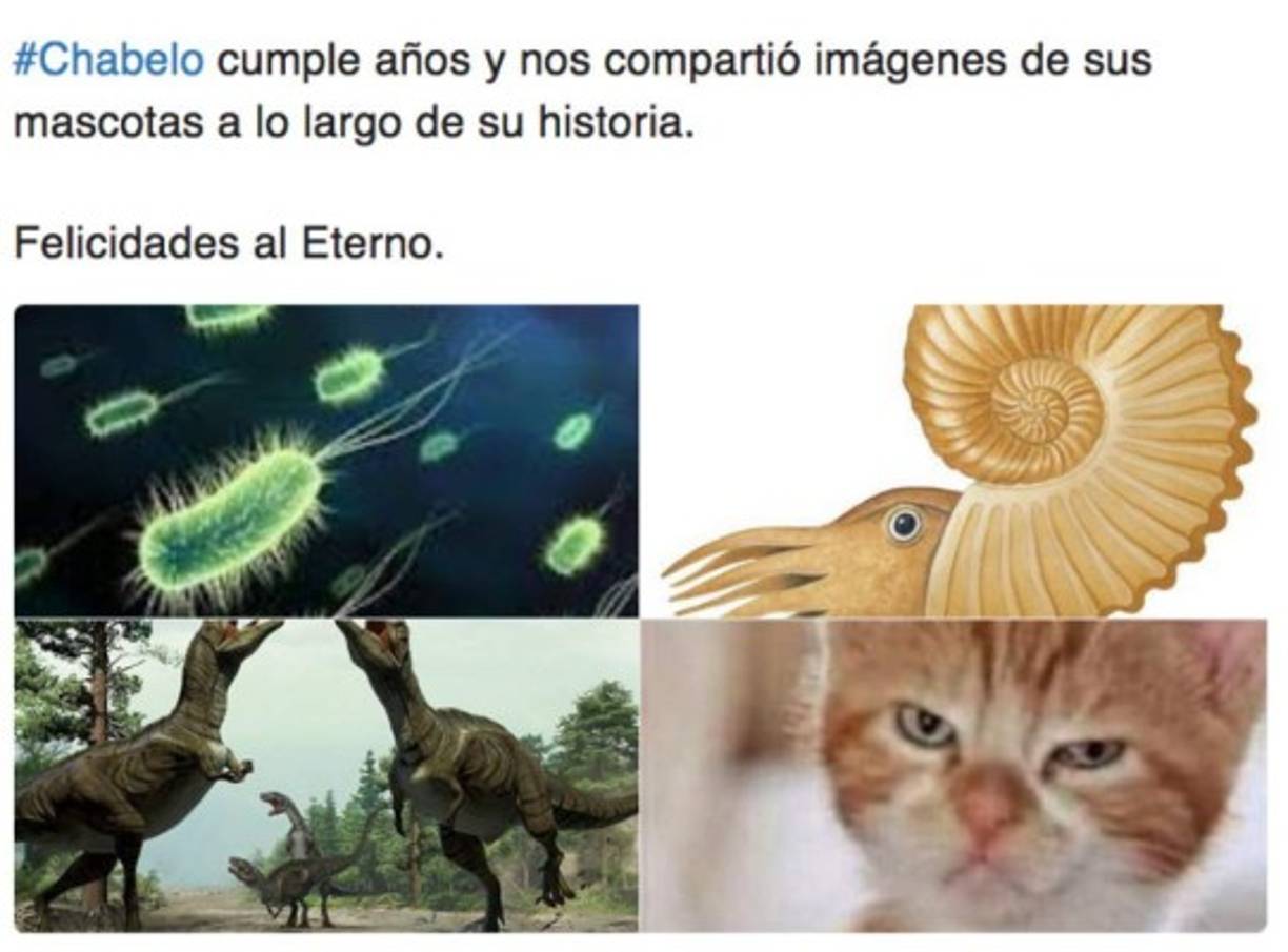 Foto: La Prensa
