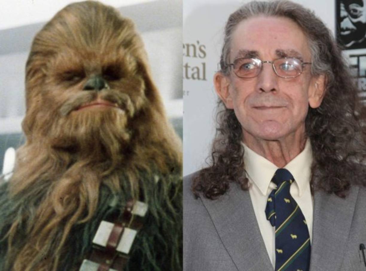 Si bien Peter Mayhew fue uno de los miembros del elenco original de 'Star Wars' que regresó a la franquicia para la nueva trilogía después de su cameo en las precuelas, su retorno como Chewbacca no fue del todo exitoso. El actor, de 71 años y de 2,21 metros de alto, fue operado de ambas rodillas durante las grabaciones de The Force Awakens.<br/><br/>