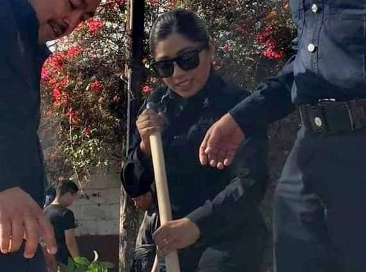 El proyecto fue revisado por las tres partes y coincidieron en que hubo violaciones en la sentencia de 45 años de Alina.