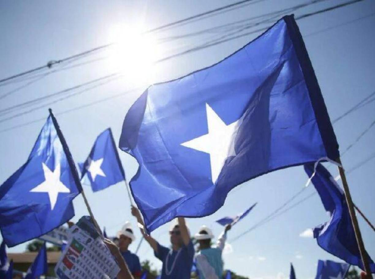 En el Partido Nacional (oposición) hay siete precandidatos presidenciales confirmados. 