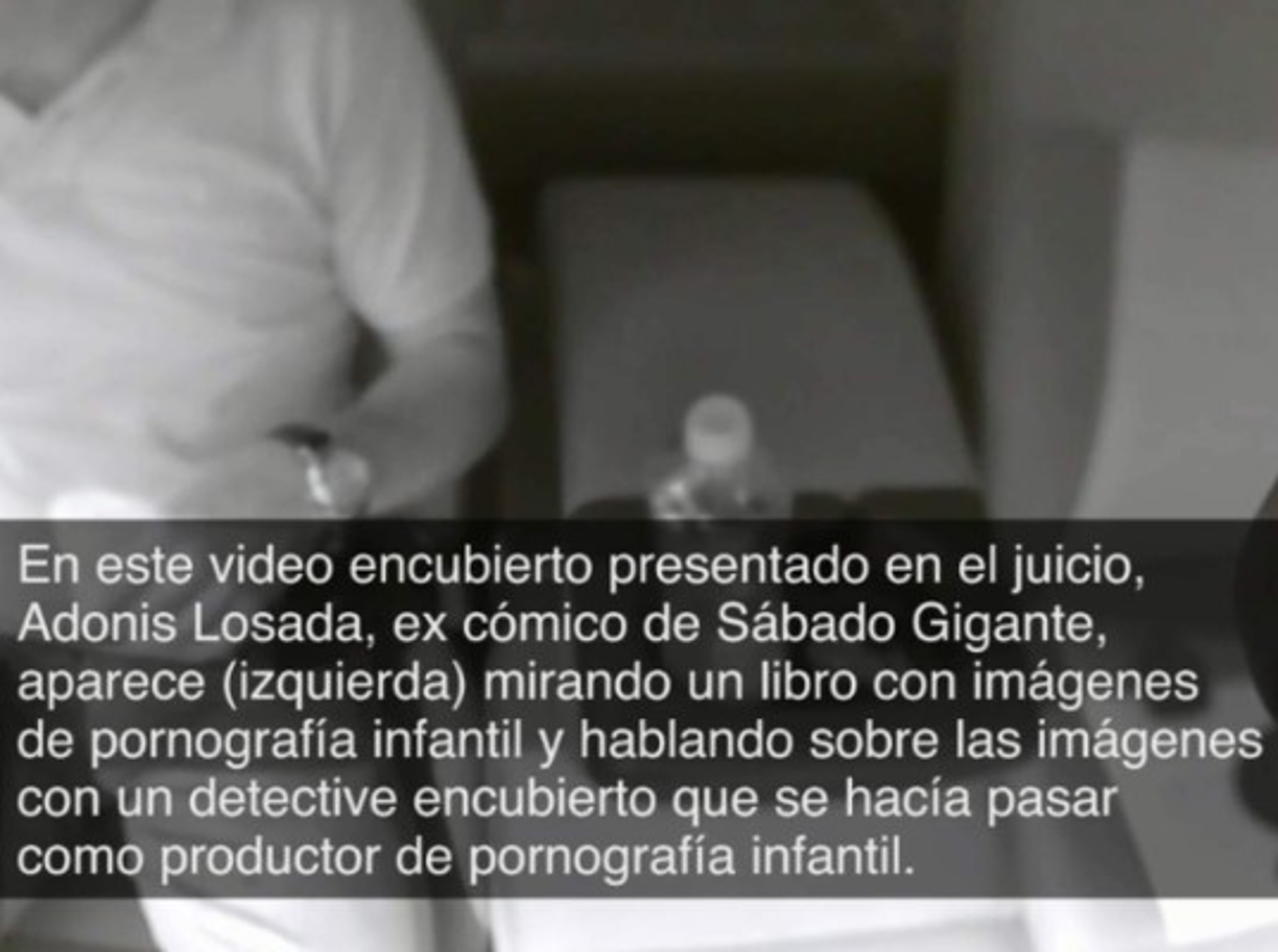 Como parte de la investigación, los agentes policiales difundieron en el juicio un video en el que se miraba al comediante mirando un libro con imágenes de pornografía infantil, y conversando acerca de estas imágenes con el detective encubierto, que se hizo pasar como productor de pornografía infantil.