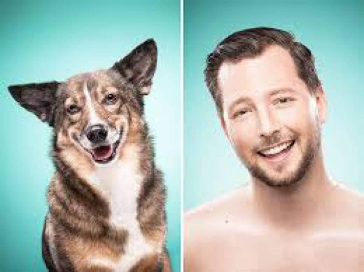 Los humanos 'son especialmente sensible a esa expresión' de ojos de cachorro, que puede asociarse a la tristeza, con lo que pueden generar mayor empatía o recordar a los de un niño<br/><br/>La autora principal del estudio, Juliane Kaminski, indicó que ahora pueden estar seguros de que las expresiones faciales de los canes 'dependen del estado de atención de su audiencia y no es solo resultado de que el animal esté emocionado'.<br/>