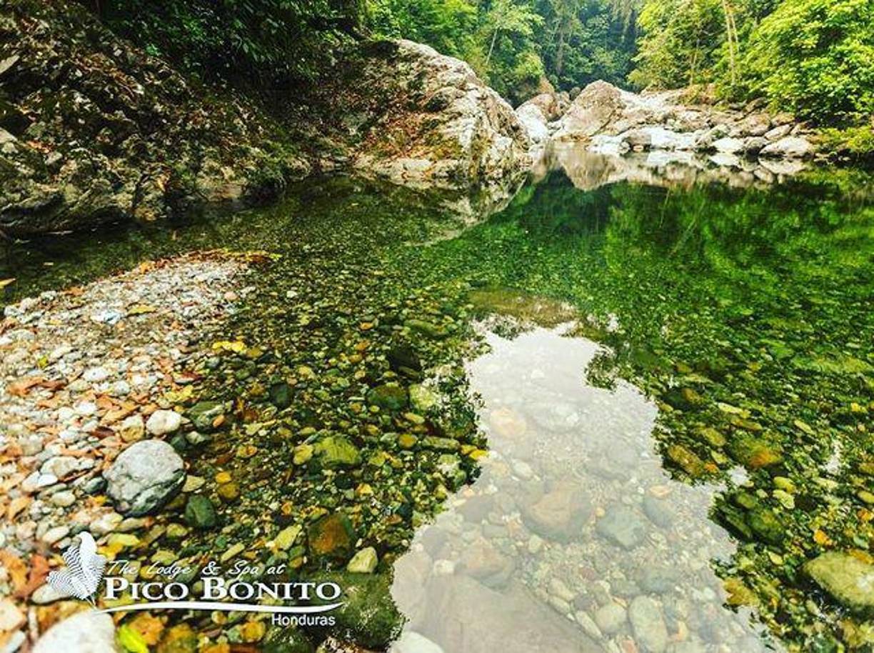 No se puede perder la caminata guiada por los senderos de la montaña, así como visitar el mariposario, serpentario y uno de los ríos que atraviesa las cercanías del Lodge.