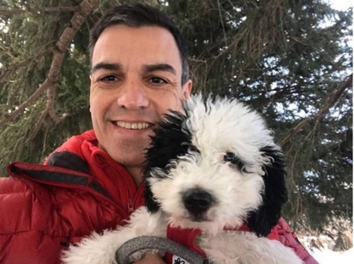 En esta fotografía tomada al comienzo de año. 'Turca es una preciosa perrita de aguas, toda nobleza y dulzura'.