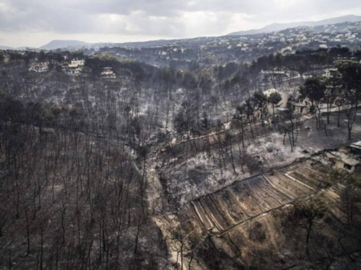 Como lo demostraron los grandes incendios de 2007, en los que fallecieron al menos 77 personas en el Peloponeso y la isla de Eubea, 'el fuego no esperó a la crisis para quemar, pero la falta de recursos financieros de la administración pública no arregla nada', recuerda Bokaris.