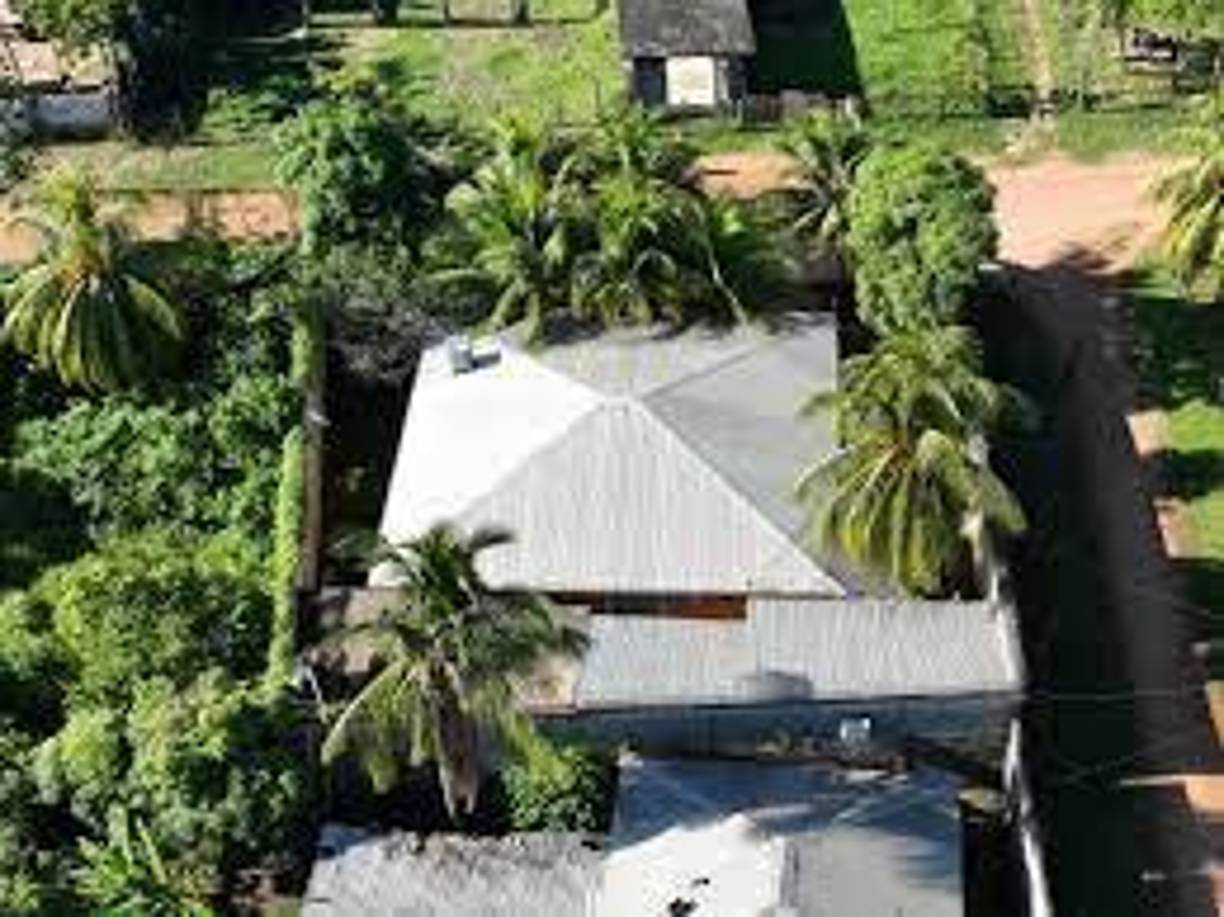 El imperio del hondureño tendría su origen en las actividades delictivas, a través del tráfico de drogas en la Mosquitia, la inhóspita región hondureña en la que aterrizan narcoavionetas cuya droga es trasladada en Honduras vía terrestre y aérea en su paso hacia Guatemala y México.