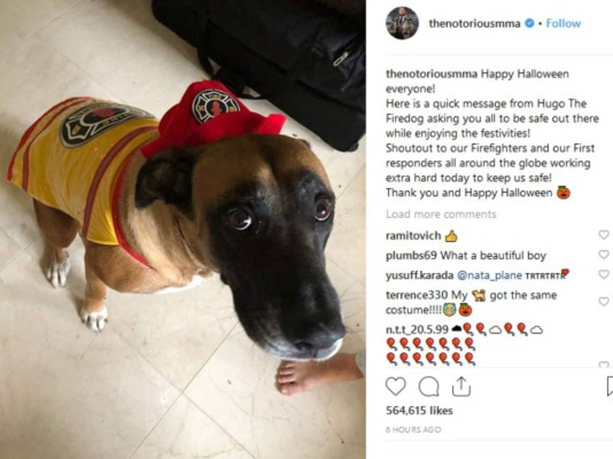 Conor McGregor subió esta foto de su perro y se unió a los festejos.