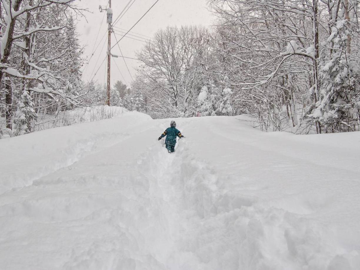 Esta falta de nieve ha sido notable especialmente en los Grandes Lagos, donde las aguas del lago Erie se encuentran a 11 °C, un valor solo registrado anteriormente en 1931, año que también estuvo marcado por intensas nevadas.