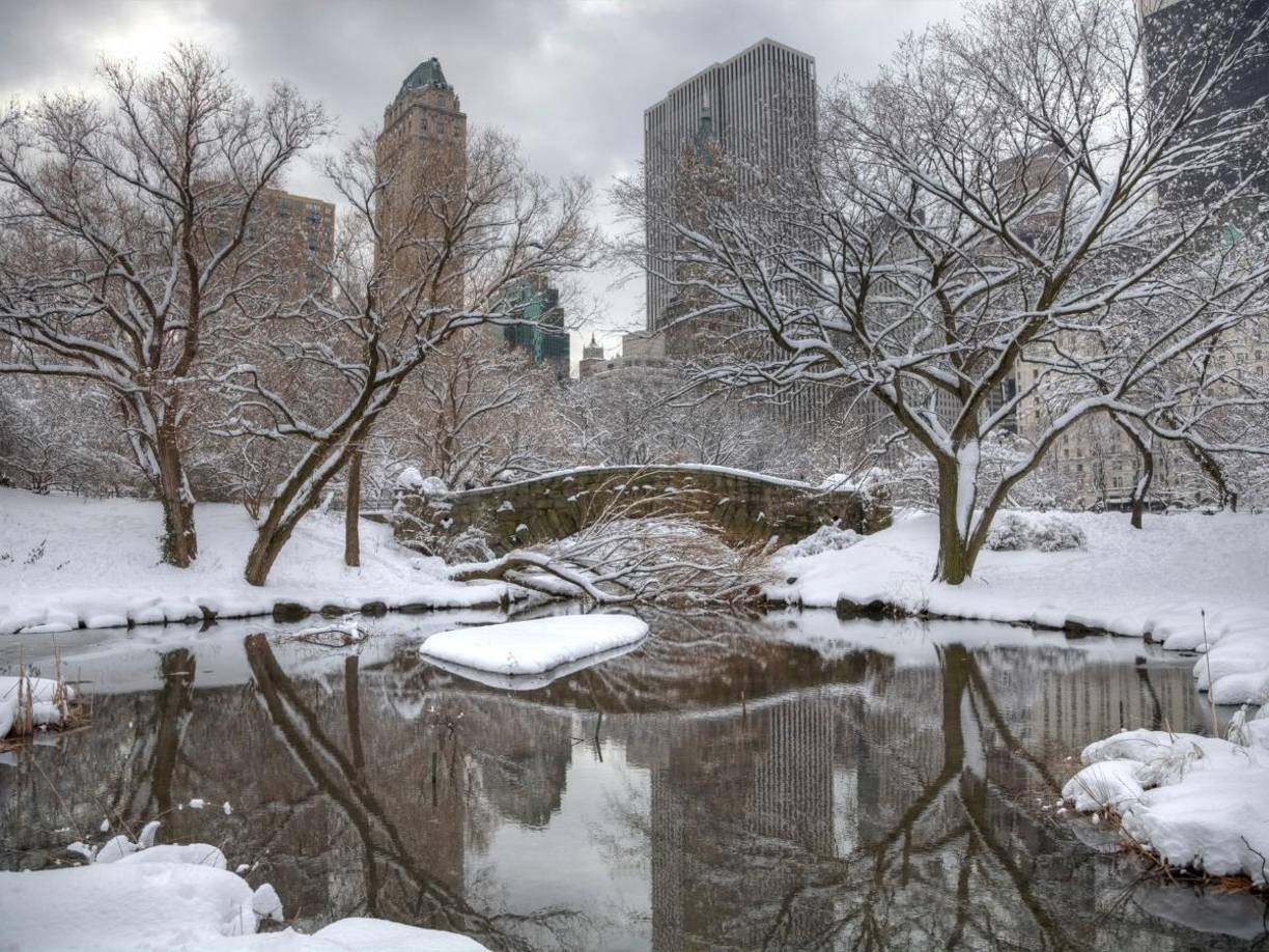 Para Nueva York y el área triestatal, el descenso gradual de temperaturas alcanzará los -6 °C a principios de la próxima semana, acercándose a los -8 °C registrados el 17 de enero de 2024, la temperatura más baja del año en Central Park. 