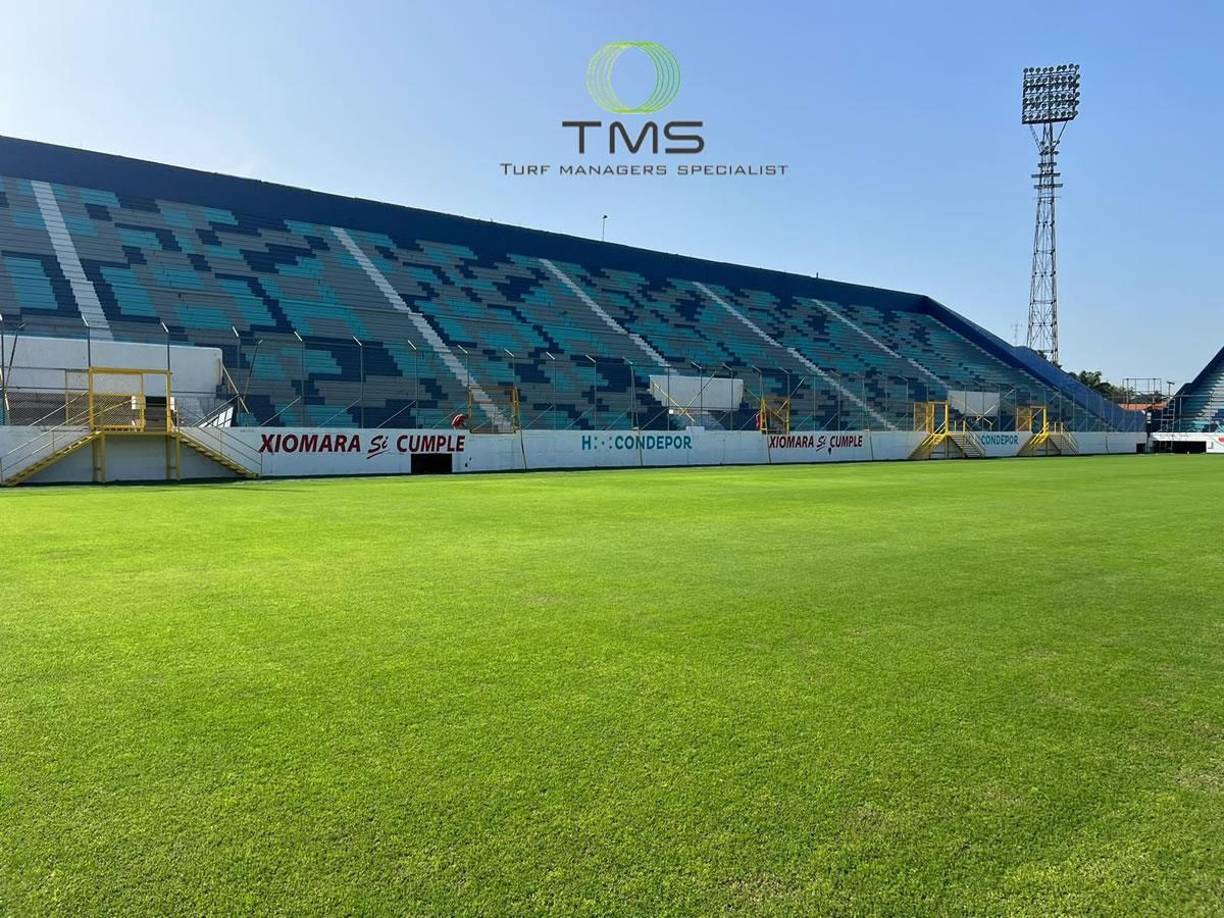 La compañía TMS brindo buenas noticias en relación al mantenimiento del césped del recinto sampedrano.