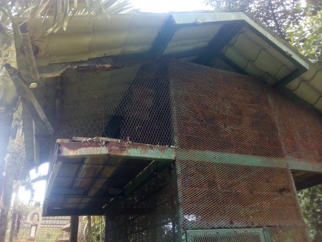 Las jaulas en donde descansan los animales también se encuentra deterioradas.