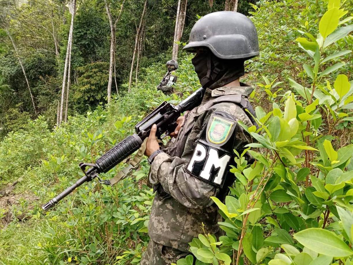 Las primeras plantaciones de hoja de coca en Honduras fueron localizadas en abril de 2017 en una zona montañosa del departamento de Olancho.