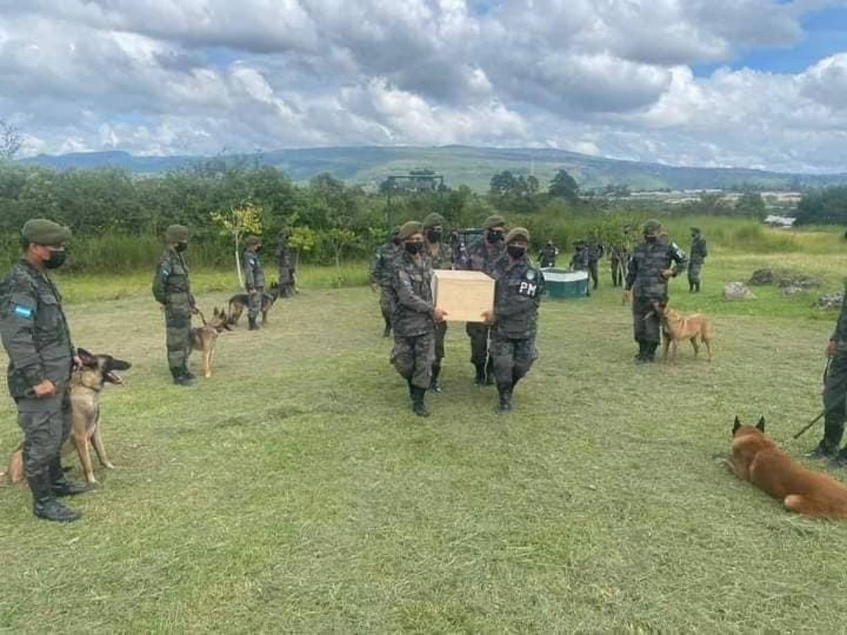 Otros miembros del equipo canino hicieron un pasillo al féretro de Askar.