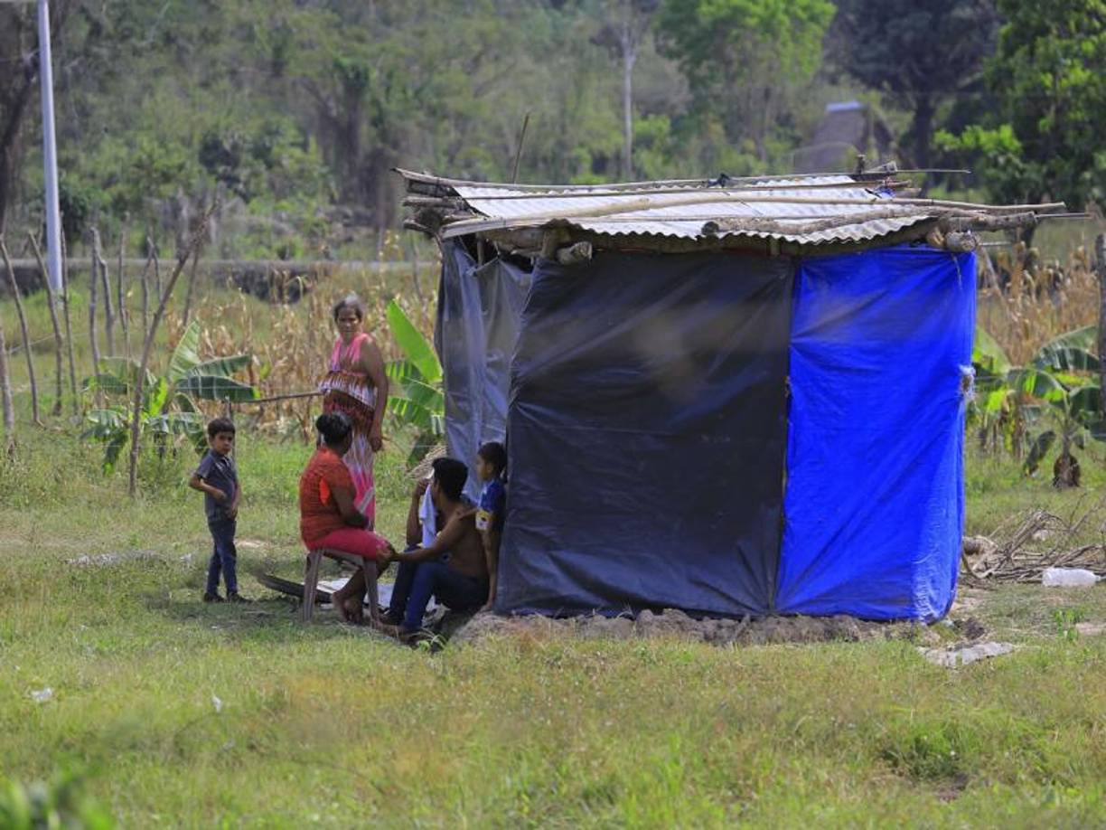 “Sobran tierras que el Gobierno se las puede dar a los supuestos campesinos para que las trabajen, pero lo que vemos es que les gustan las fincas de producción, y lo más preocupante, fincas ganaderas”, expone Castro. 