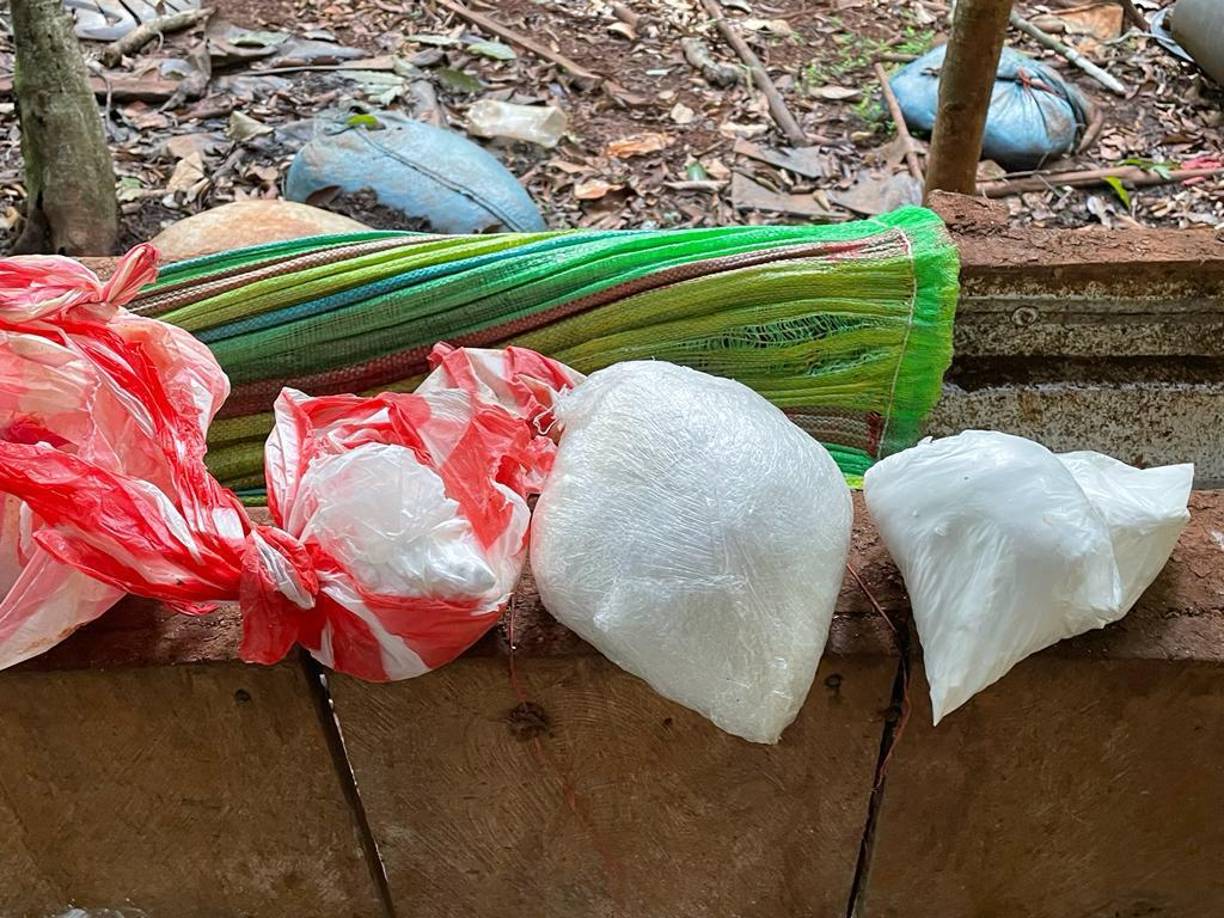 Destruyen dos narco laboratorios y una plantación de arbustos de coca en Colón