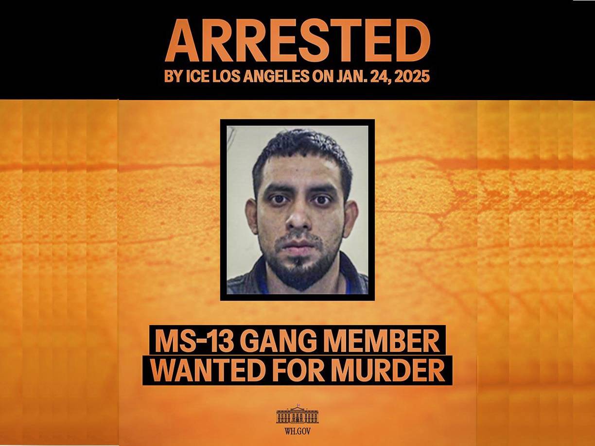 Un miembro de la pandilla MS-13 originario de El Salvador, buscado por homicidio agravado y con una alerta roja activa, fue arrestado por agentes de ICE Los Ángeles el 24 de enero de 2025.