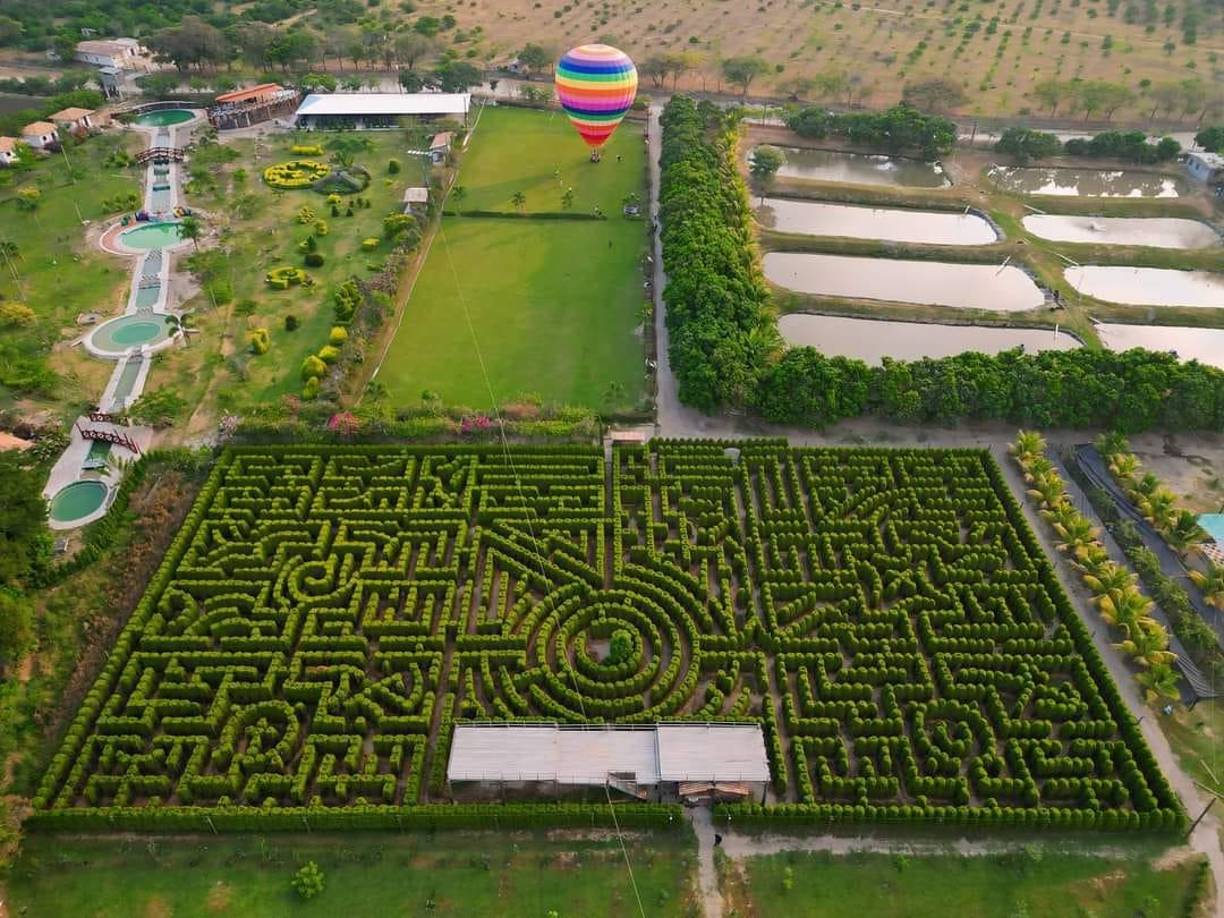 Uno de los lugares favoritos que llegó para quedarse es el Laberinto de Cipreses de Comayagua, localizado en Flores, en la Villa de San Antonio, a unos 25 minutos de la ciudad colonial. Puede llamar al 9477-3252 para obtener más información sobre precios.
